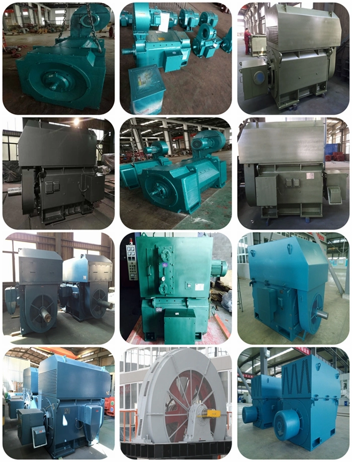 Dedicated for Coal-Bed Gas Electromagnetic Variable Speed Motor Device
