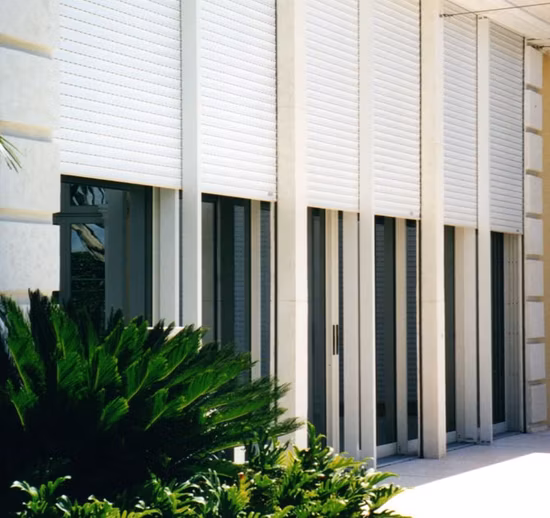 Aluminium Extrusion Windproof Roller Rolling Roll up Door Shutter with PU Foam Insulating Function